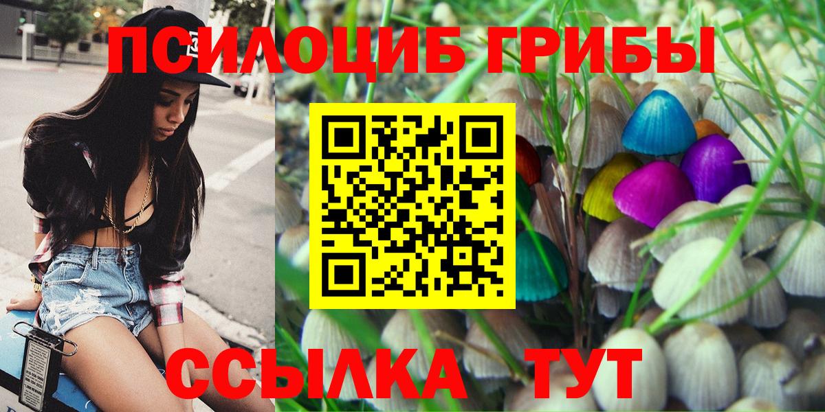 Галлюциногенные грибы прущие грибы Апшеронск