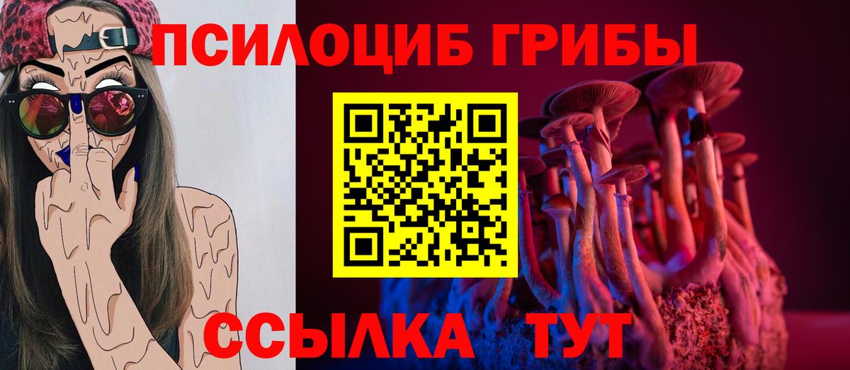 Галлюциногенные грибы GOLDEN TEACHER  Вход с VPN  Апшеронск 